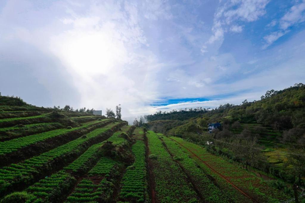 Starlight Hotels Kodai コダイカナル エクステリア 写真